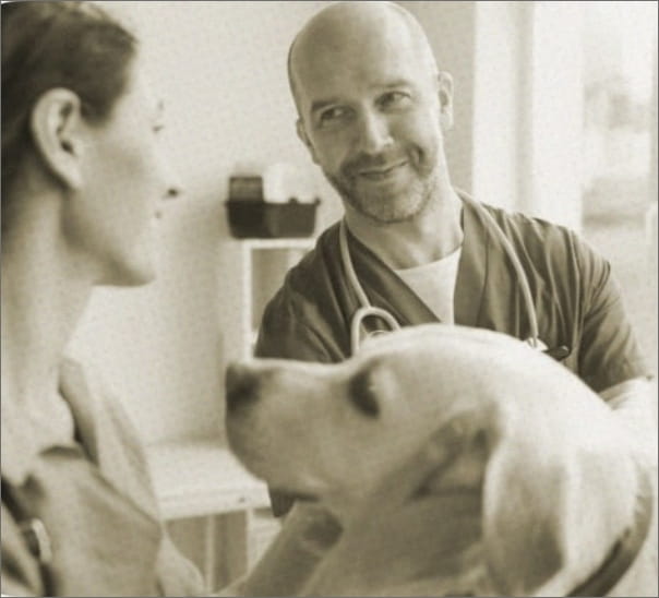 Expert-comptable vétérinaire I financement d'une clinique I Optimisation fiscale I Rentabilisation des équipements I Chiffre d'affaires I Business Plan I Neotec