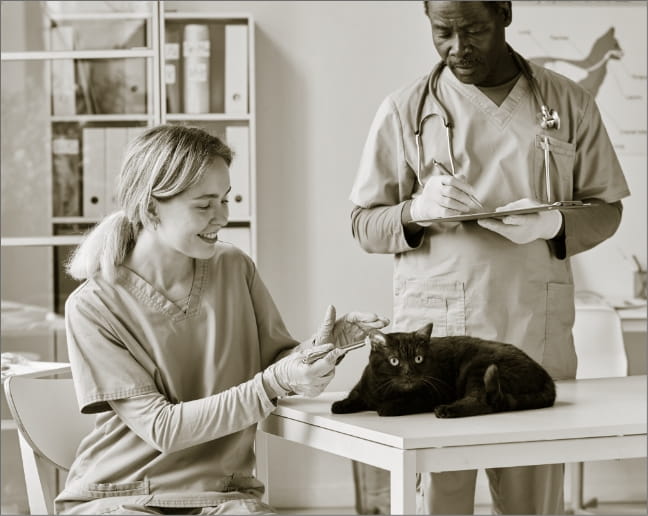 Accompagnement vétérinaire I création clinique I Business Plan I financement I Prix des actes I Statut I Neotec